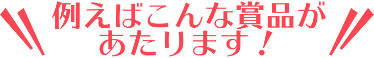 例えばこんな商品があたります！